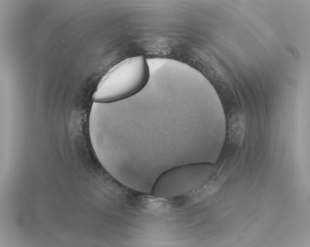 X0000115330229200912141226