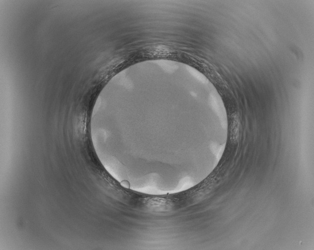 X0000115330230200912141226