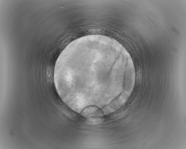 X0000115330234200912141226