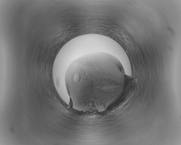 X0000115330235200912141226