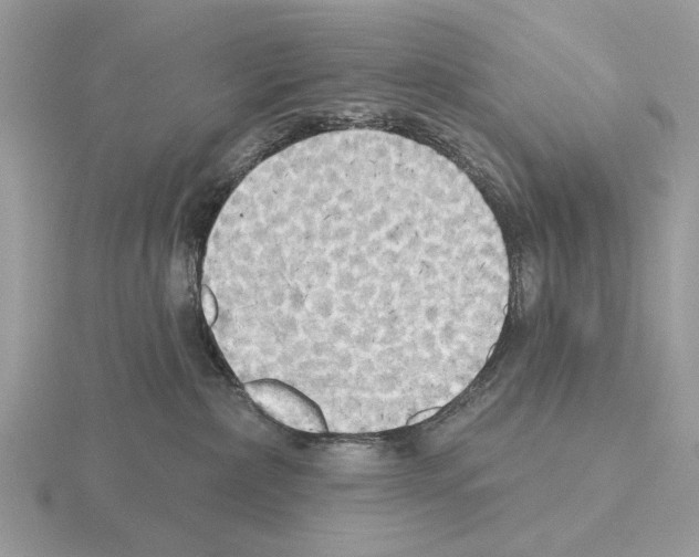 X0000115330236200912141226