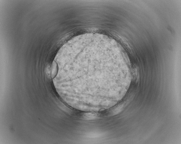 X0000115330238200912141225