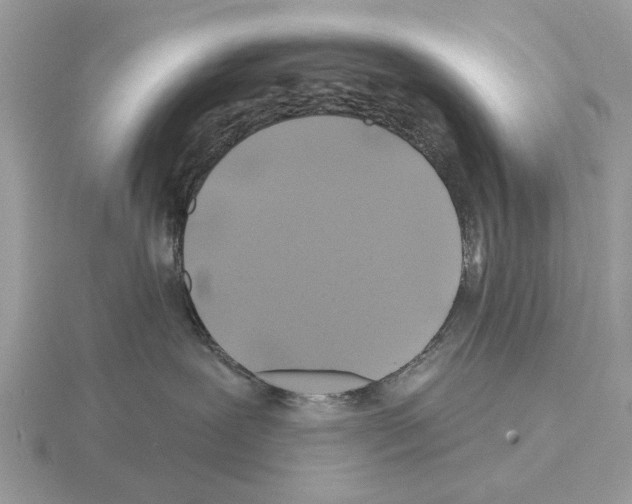 X0000115330239200912141225