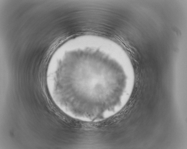 X0000115330241200912141225