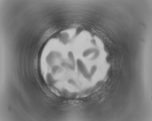 X0000115330242200912141225