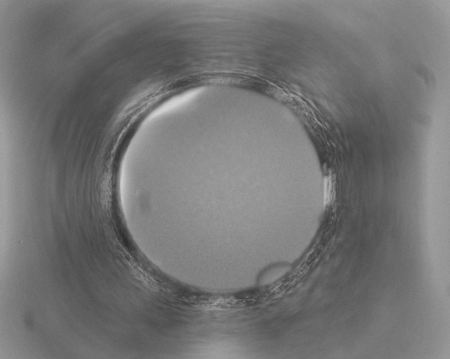 X0000115330243200912141225