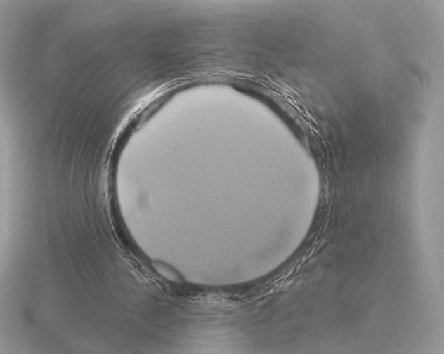 X0000115330244200912141225