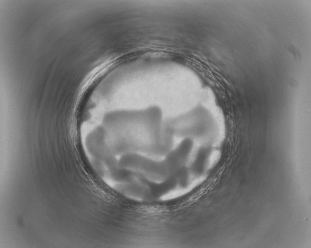 X0000115330245200912141225