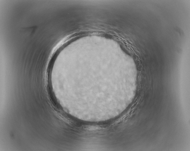 X0000115330246200912141225