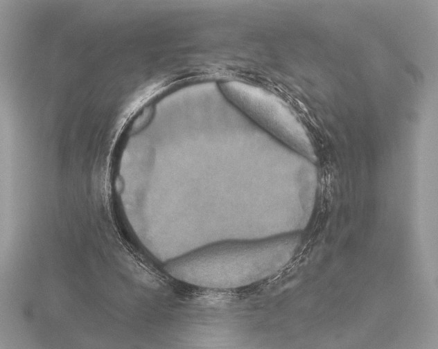 X0000115330248200912141225