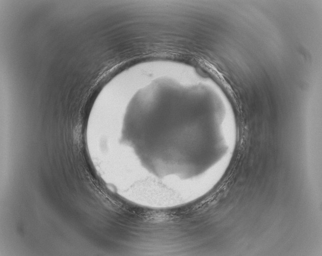 X0000115330249200912141225