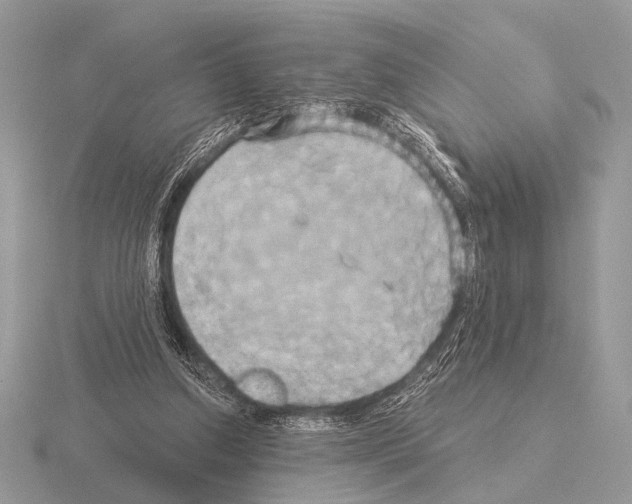 X0000115330250200912141225