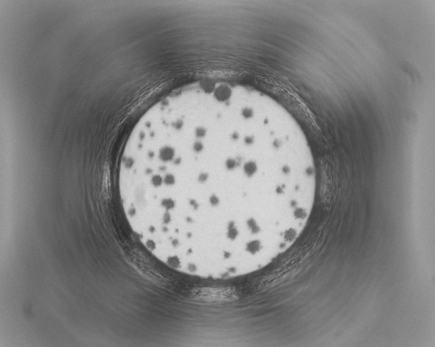 X0000115330251200912141225