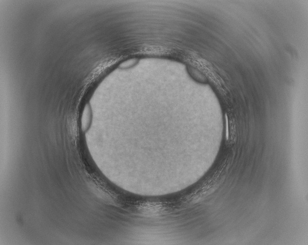 X0000115330252200912141225