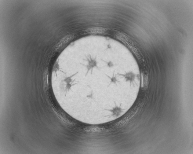 X0000115330253200912141225