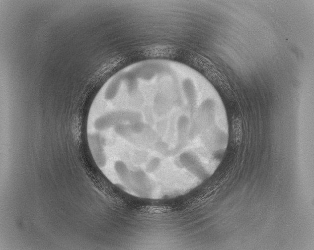 X0000115330255200912141225