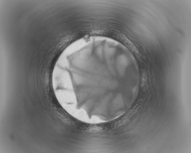 X0000115330257200912141225