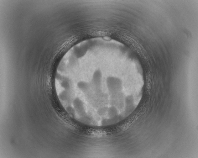 X0000115330258200912141225