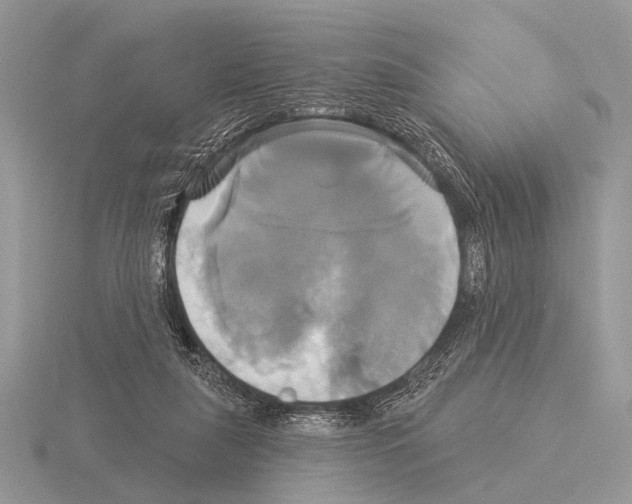 X0000115330259200912141225