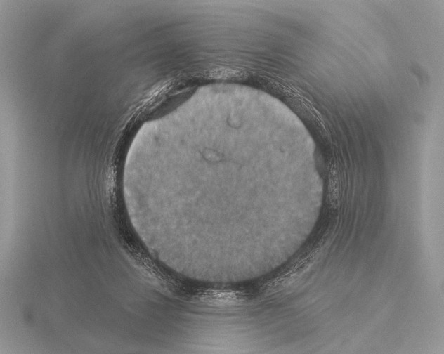 X0000115330260200912141225