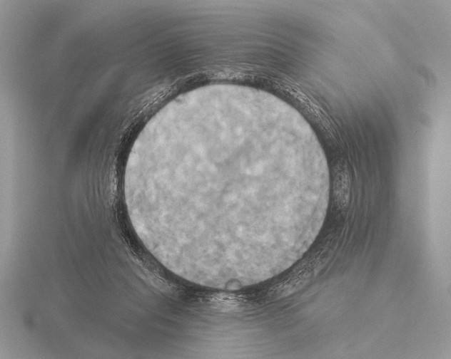 X0000115330261200912141225