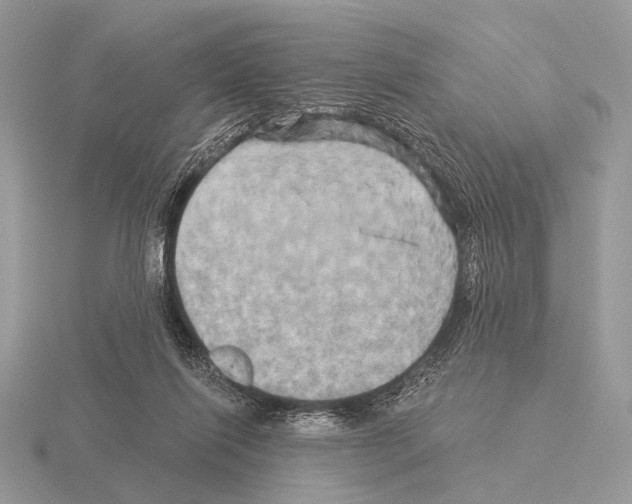 X0000115330262200912141225