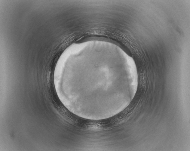 X0000115330263200912141225