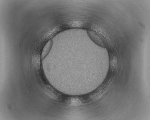 X0000115330264200912141225