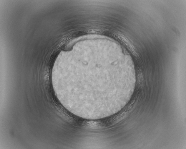 X0000115330265200912141225