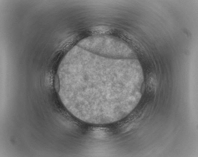 X0000115330268200912141225