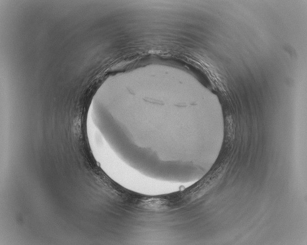 X0000115330269200912141225