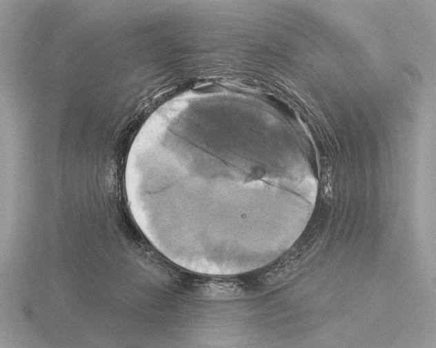 X0000115330270200912141225