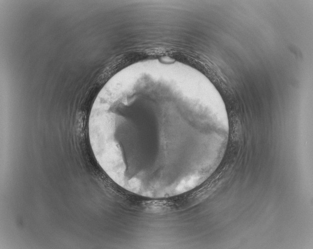 X0000115330273200912141225