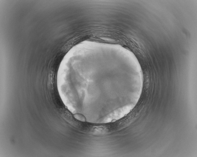 X0000115330275200912141225