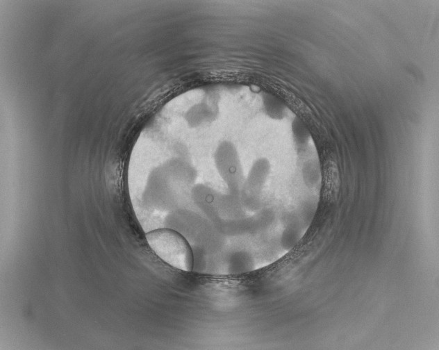 X0000115330278200912141225