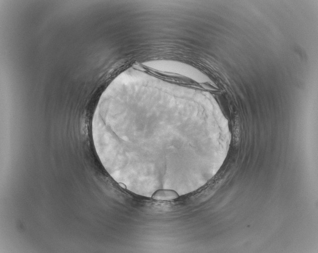 X0000115330282200912141225