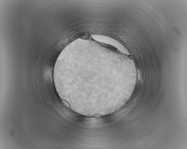 X0000115330286200912141225