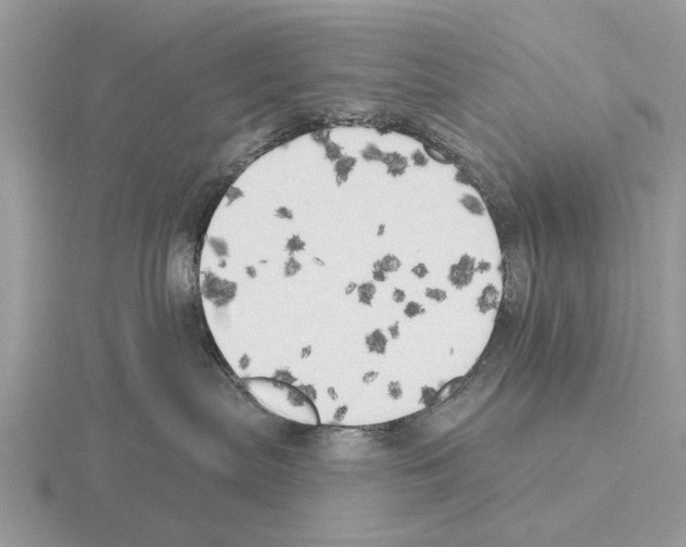 X0000115330287200912141225