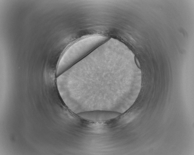 X0000115330288200912141225