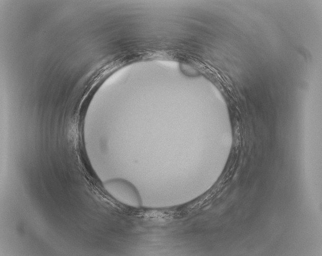 X0000115330290200912141225