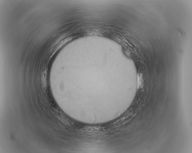 X0000115330291200912141225