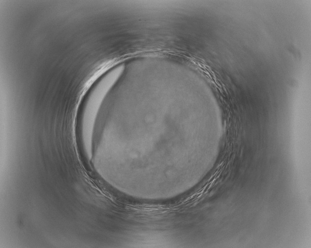 X0000115330292200912141225