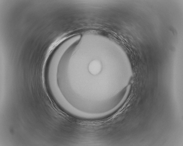 X0000115330294200912141225