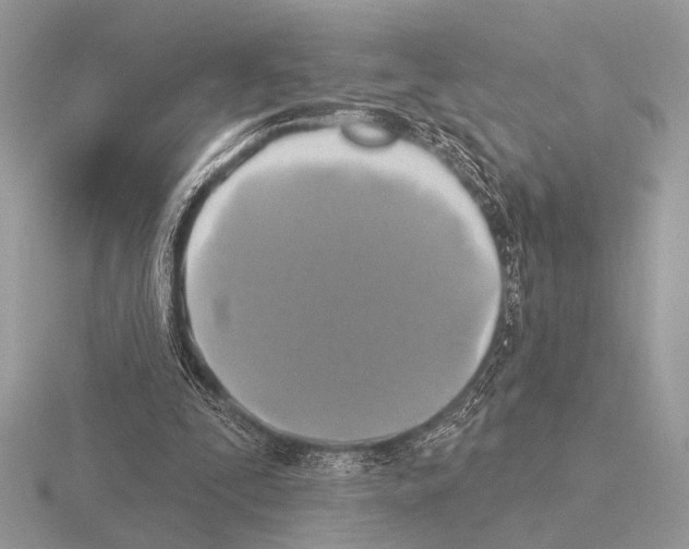 X0000115330295200912141225