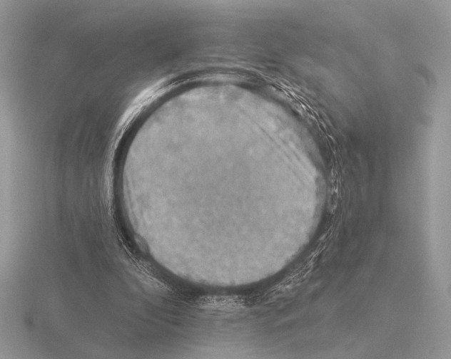 X0000115330296200912141225