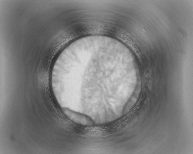 X0000115330297200912141225