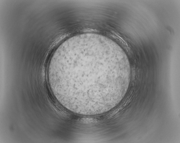 X0000115330298200912141225