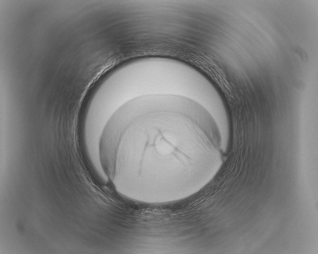 X0000115330300200912141225