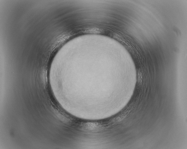 X0000115330302200912141225