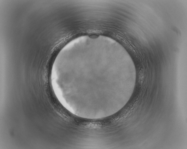 X0000115330303200912141225